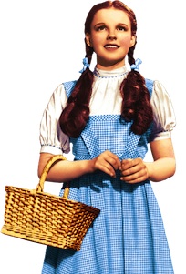 Wizard of Oz - Adult Dorothy Costume