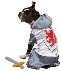 Knight Dog Costume