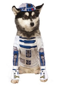 R2D2 Dog Costume