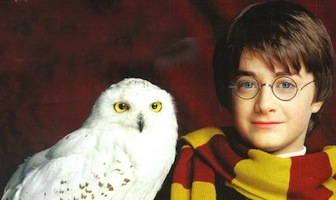 Harry Potter Kids Costumes for Halloween