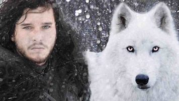 Game of Thrones Dire Wolf Costumes Halloween