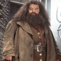 Harry Potter Hagrid Costume