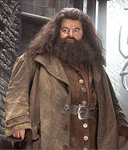 Harry Potter Hagrid Costume