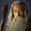 LOTR Gandalf Wizard Costume