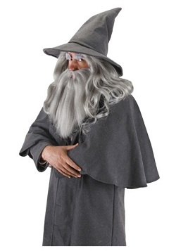 Lord of the Rings Gandalf Wizard Costume