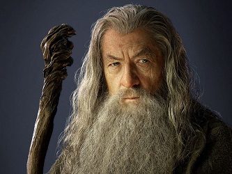 LOTR Gandalf Wizard Costume