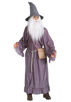 Lord of the Rings Gandalf Wizard Costume