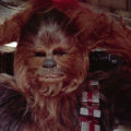 Star Wars Chewbacca Costumes