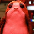 Star Wars The Last Jedi Porg Costume