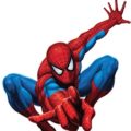 Marvel Comics Spiderman Costume