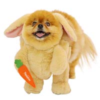 Easter Pet Costume - Carrot 