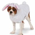 Cute Easter Pet Costume for Dogs Cats - Bunny