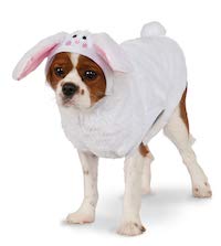 Bunny Hoodie for Pets