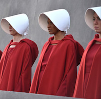 Handmaid's Tale Costume Ideas for Adults