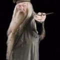 Harry Potter Albus Dumbledore Costume Ideas