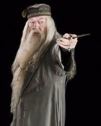Harry Potter Albus Dumbledore Costume Ideas