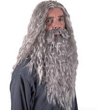 Harry Potter Albus Dumbledore Costume Wig