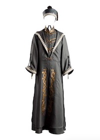 Harry Potter Dumbledore Costume Robe