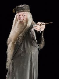 Harry Potter Albus Dumbledore Costume Ideas