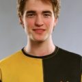 Harry Potter Cedric Diggory Huffleduff Costume Ideas