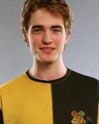 Harry Potter Cedric Diggory Huffleduff Costume Ideas