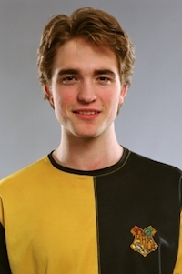 Harry Potter Cedric Diggory Huffleduff Costume Ideas