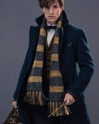 Harry Potter Fantastic Beasts Newt Scamander Costume Ideas