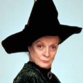 Harry Potter Minerva McGonagall Costume Ideas