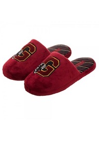 Authentic Cosplay Harry Potter Gryffindor Costume Slippers