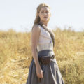 WestWorld Dolores Abernathy Costume Ideas