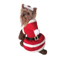 Christmas Pet Costume - Santa costume for Dogs