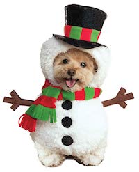 Christmas Pet Costume - Snowman costume for Dogs