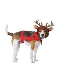 Christmas Reindeer Costume for Dogs