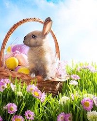 Easter Bunny Costumes for Kids