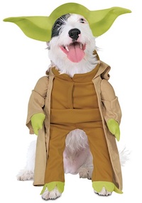 Star Wars Pet Costume - Yoda