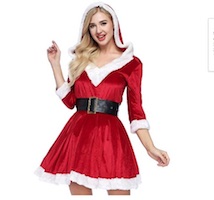 Sexy Santa Claus Costume Dress
