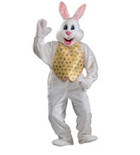 Professional Easter Bunny Costume