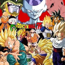 DBZ Adult Costume Ideas