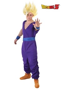 DBZ Adult Gohan Costume