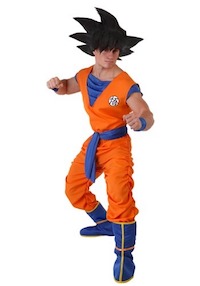 Dragon Ball Z DBZ Goku Costume for Adults