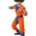 DBZ Goku Costume for Everyone