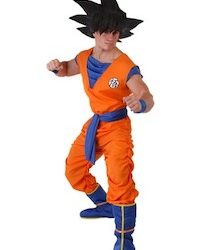 DBZ Goku Costume for Everyone