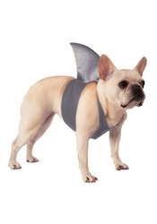 Baby Shark Costume Ideas - Doggy Shark