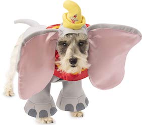 Dumbo Costume Ideas for Adults, Kids and Pets