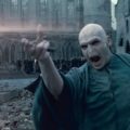 Harry Potter Voldemort Costume