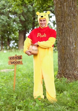 Adult Winnie the Pooh Costume