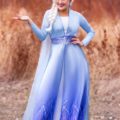 Disney Frozen 2 Elsa Costumes for Adults