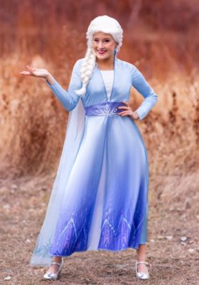 Disney Frozen 2 Elsa Costumes for Adults