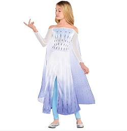 Frozen Queen Elsa Costume for Kids